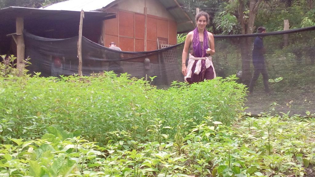 The Local Story Resort Ban Mon Talaeng Exteriör bild